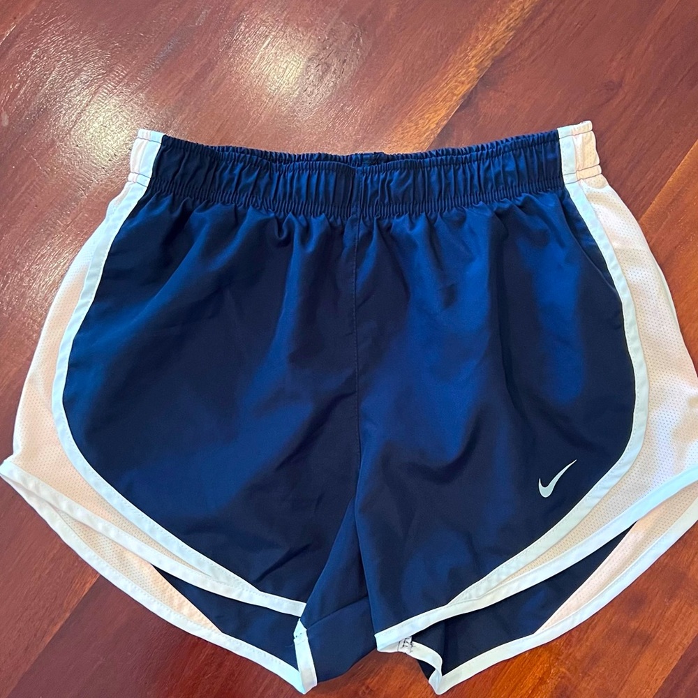 Nike Dri-Fit Shorts Navy Small